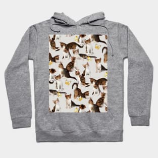 Kittens and Butterflies - a painted pattern Hoodie